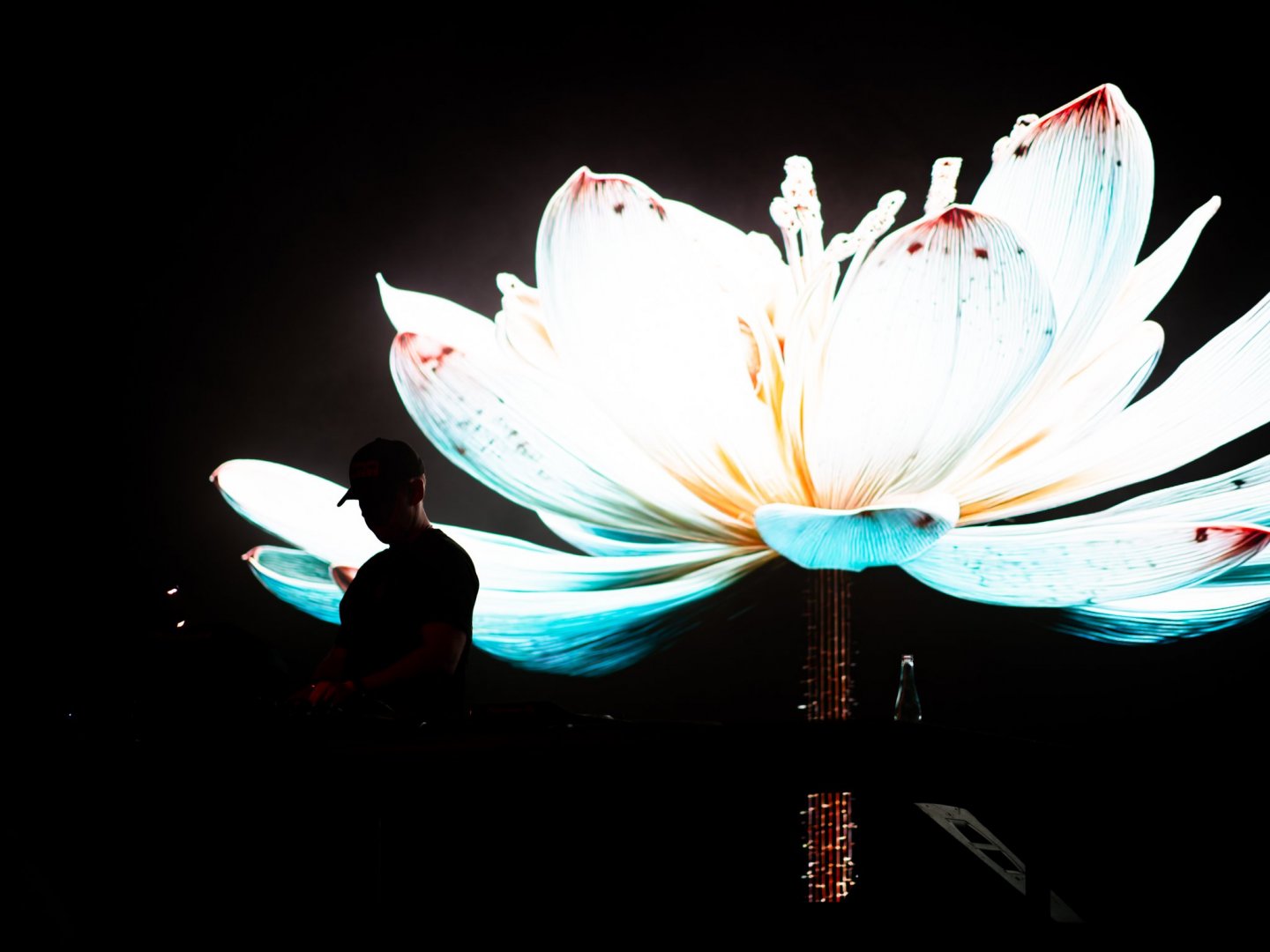 REBŪKE | ROXY Prague