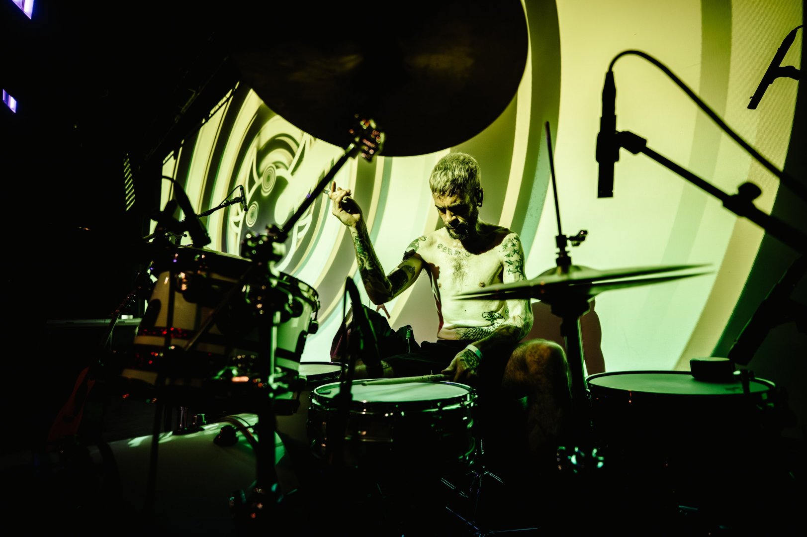 FOX STEVENSON | ROXY Prague